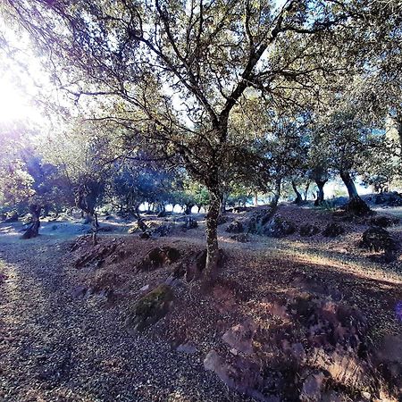 Casa Rural Gurumelo Αραθένα Εξωτερικό φωτογραφία