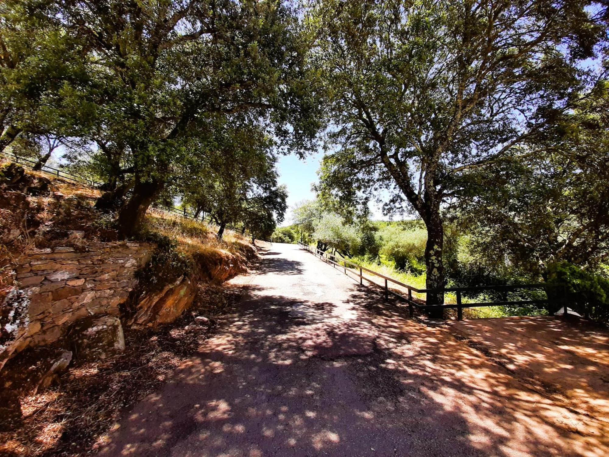 Casa Rural Gurumelo Αραθένα Εξωτερικό φωτογραφία